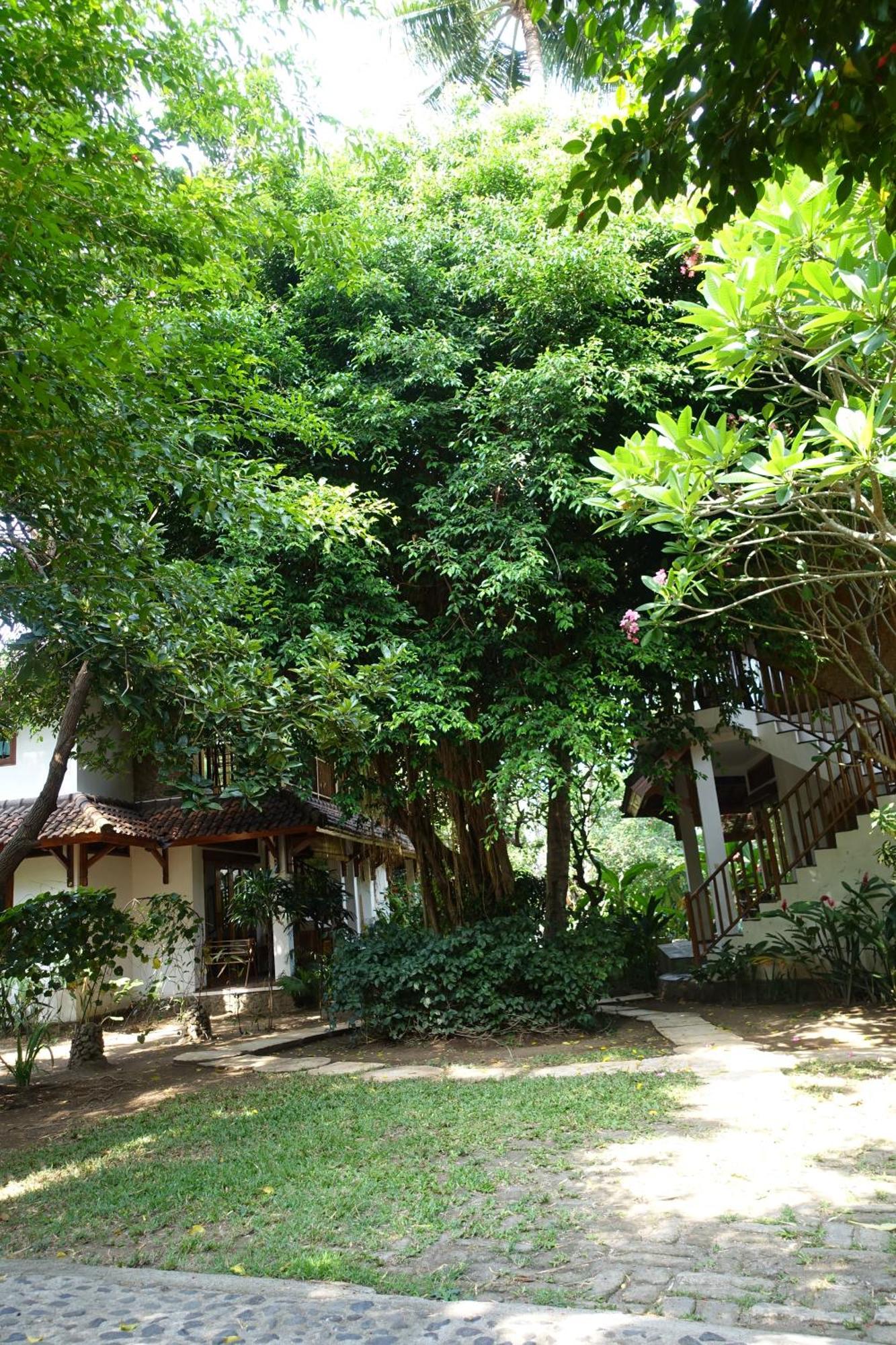 Villa Jati Mangsit Senggigi Zewnętrze zdjęcie